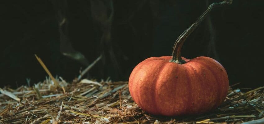 Pumpkin on the ground surrounded by hay